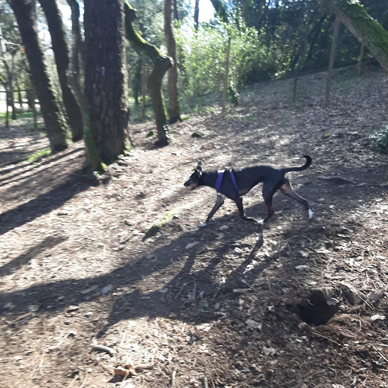 Parque Canino da Quinta do Covelo - foto 2