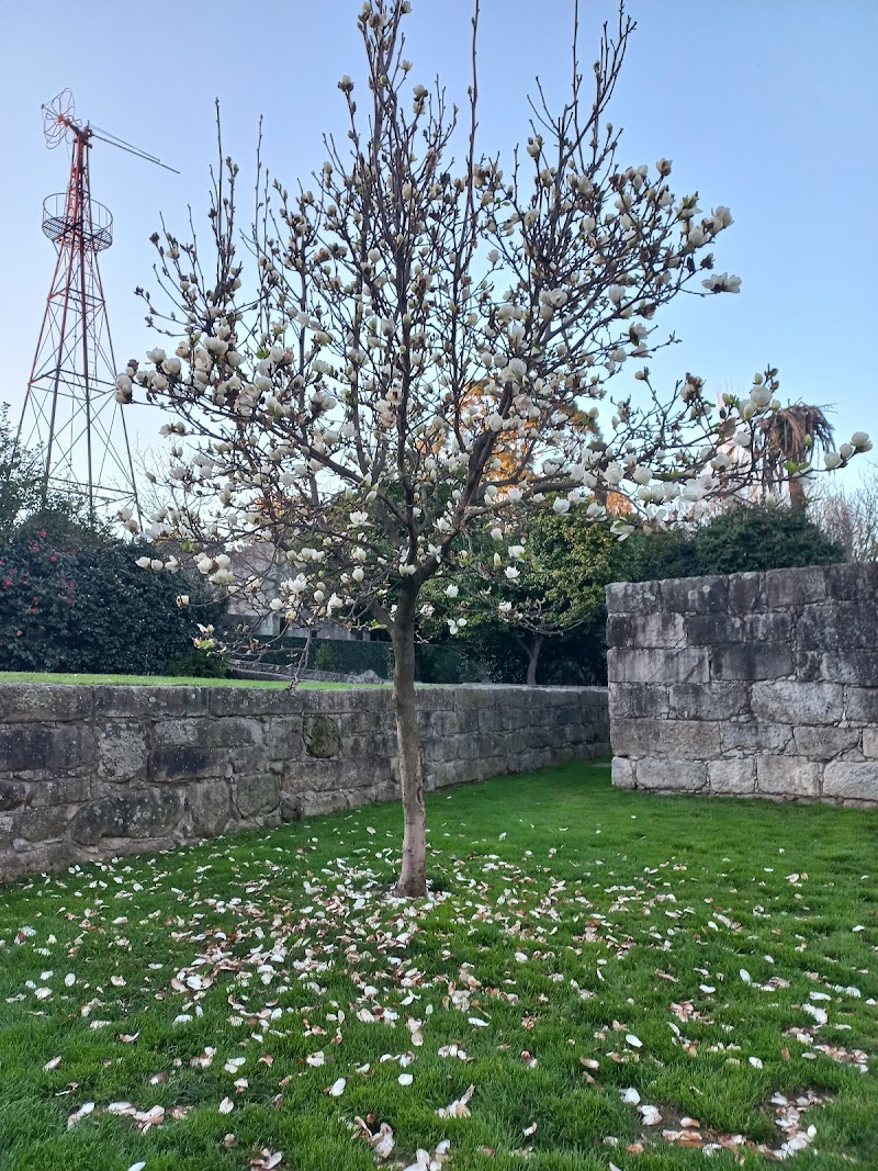 Parque Canino da Quinta do Covelo - foto 4