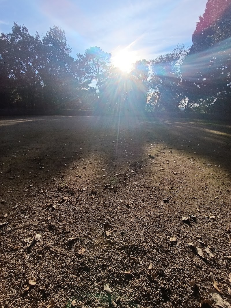 Parque Canino da Quinta do Covelo - foto 5