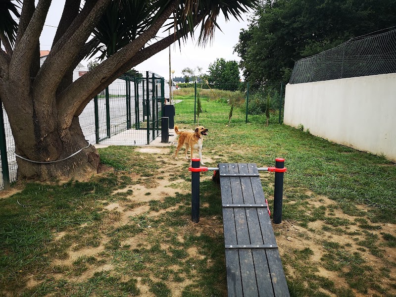 Parque Canino da Rua dos Comendadores - foto 2