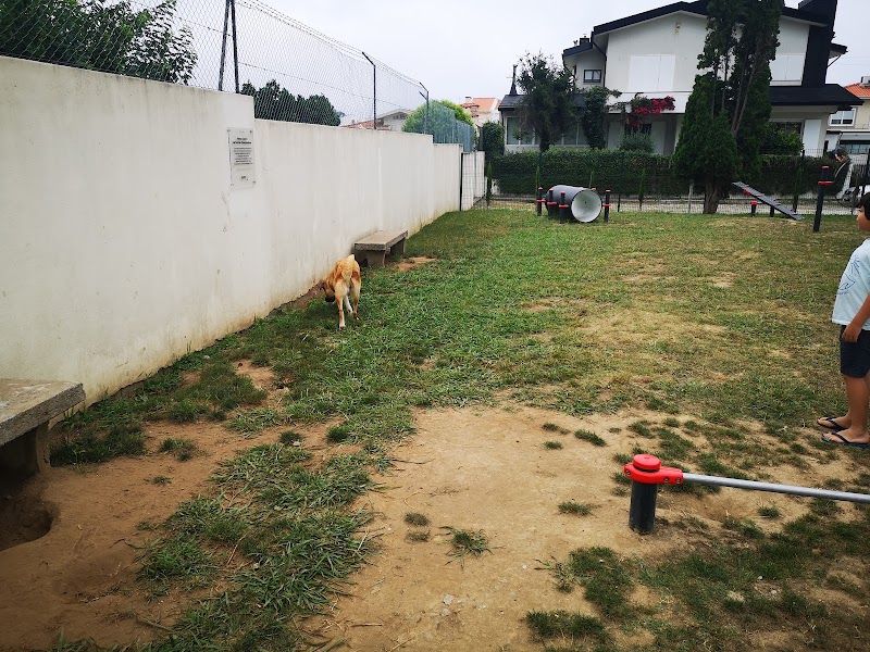 Parque Canino da Rua dos Comendadores - foto 4