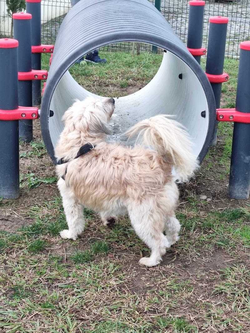 Parque Canino da Rua dos Comendadores - foto 5