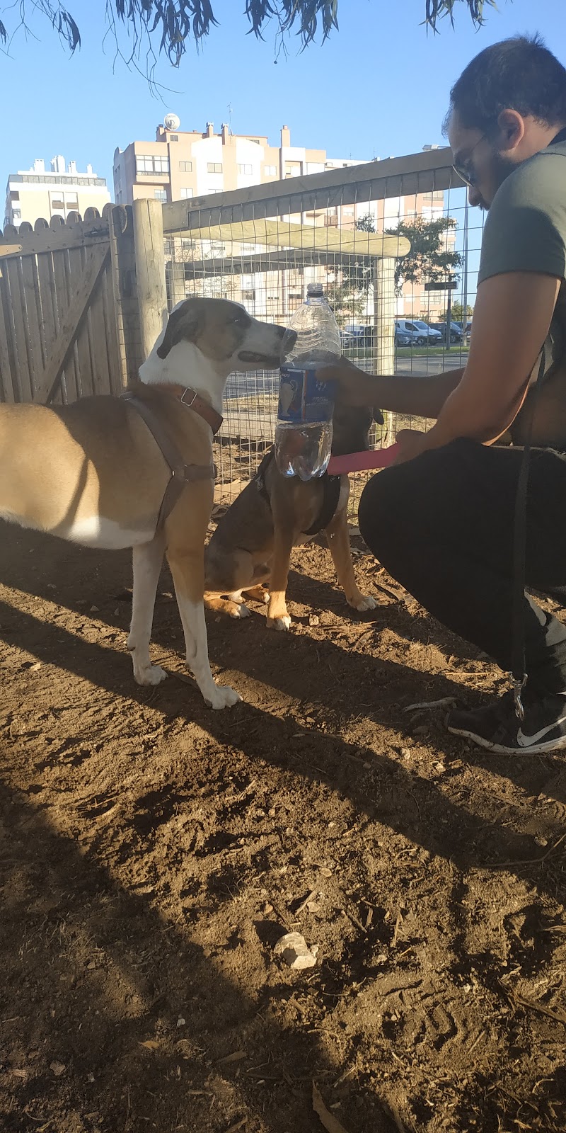 Parque Canino de São Marcos - foto 2