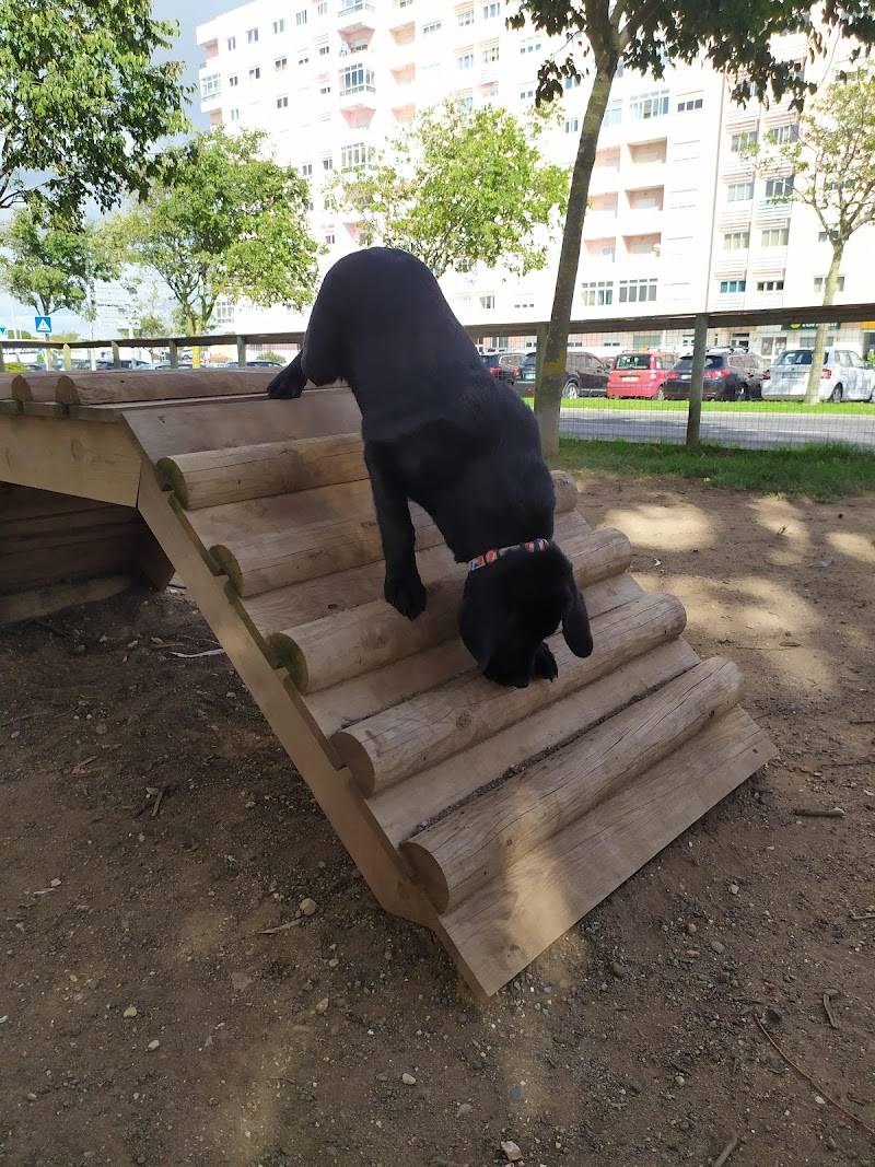 Parque Canino de São Marcos - foto 3