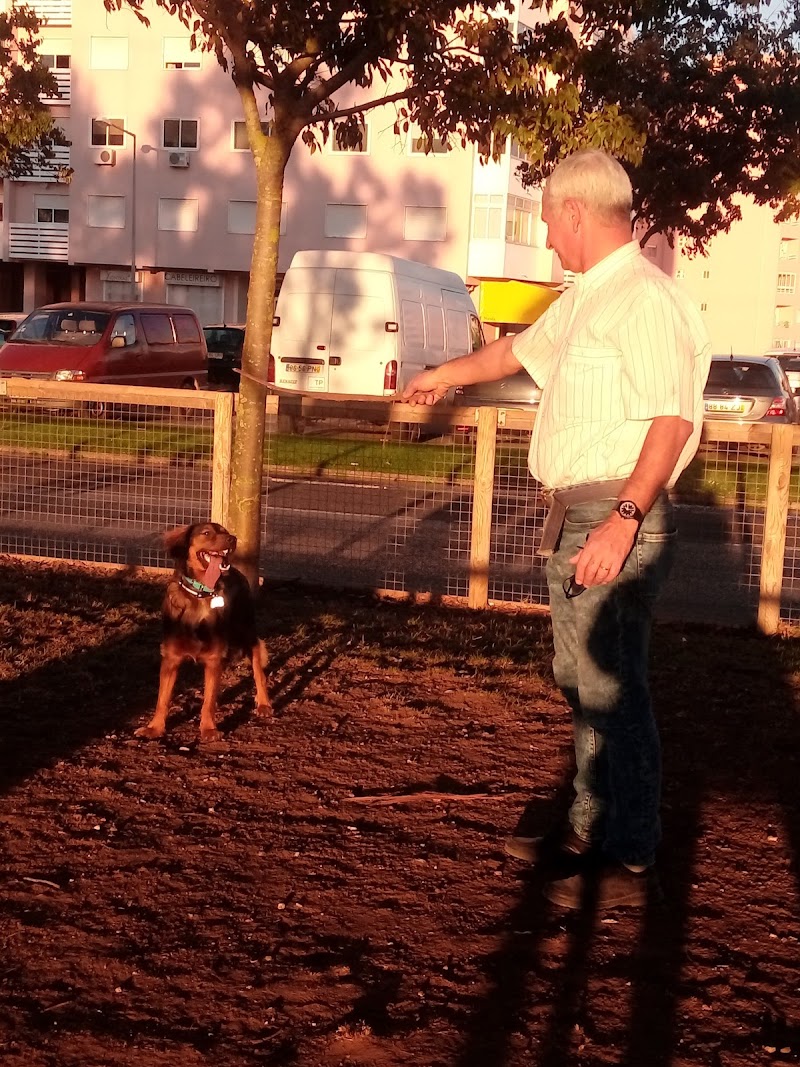Parque Canino de São Marcos - foto 4