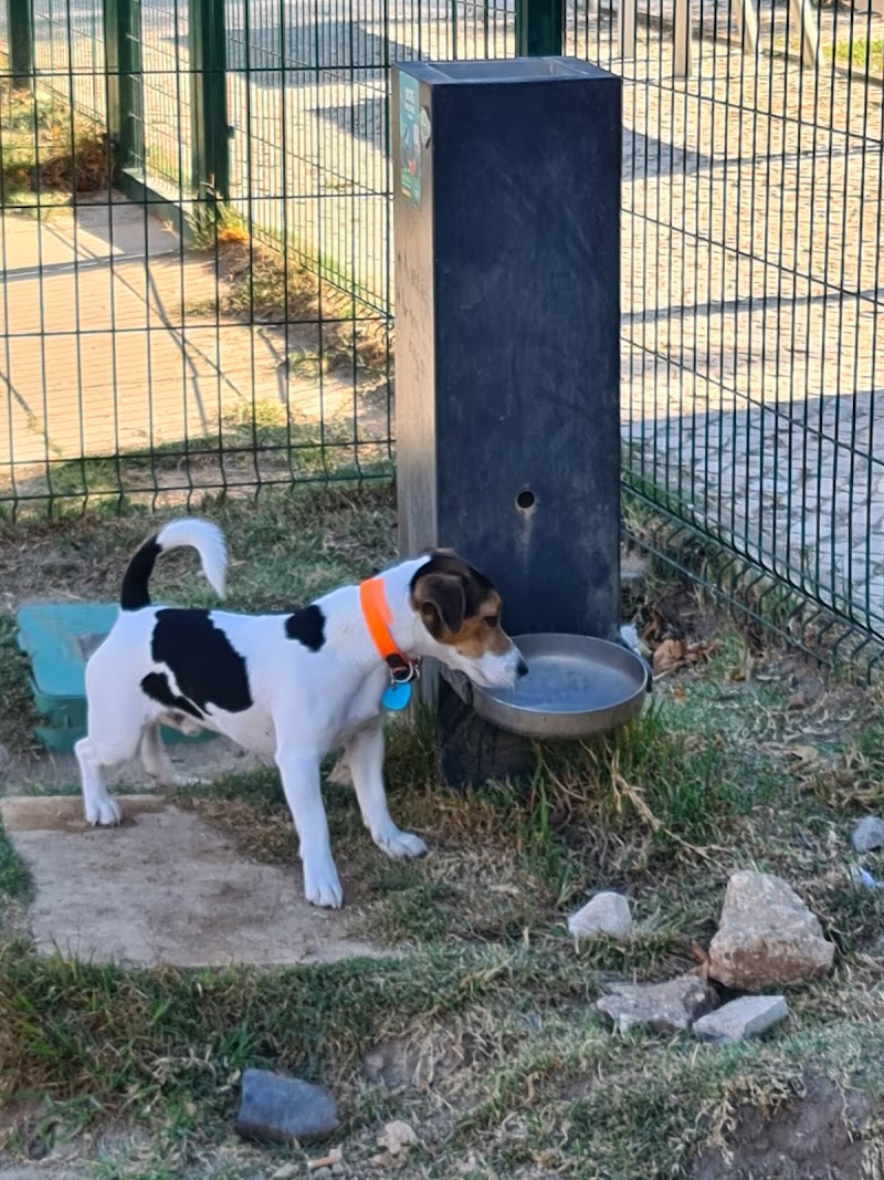 Parque Canino da Praça de Londres - foto 2