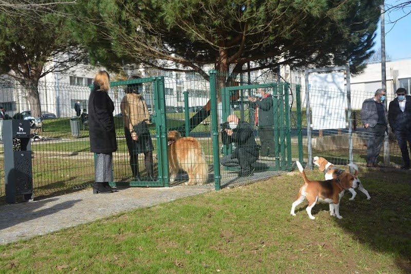 Parque canino de Moreira da Maia - foto 3