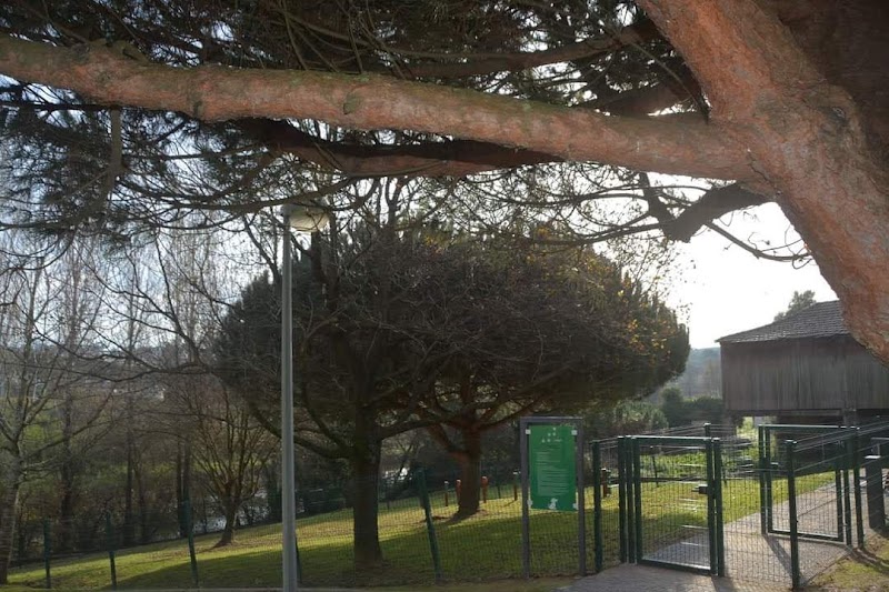 Parque canino de Moreira da Maia - foto 4