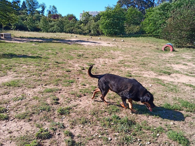 Parque Canino do Parque de Picoutos