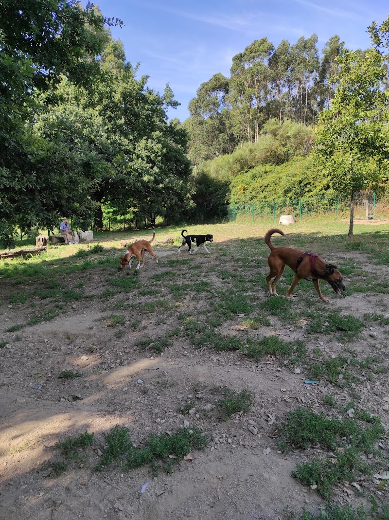 Parque Canino do Parque de Picoutos - foto 2