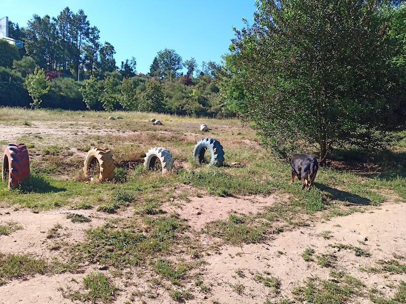 Parque Canino do Parque de Picoutos - foto 3