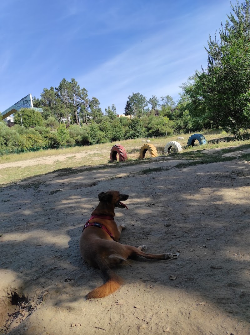 Parque Canino do Parque de Picoutos - foto 5