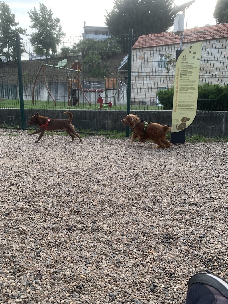 Parque Canino - Quinta do Passal - foto 3