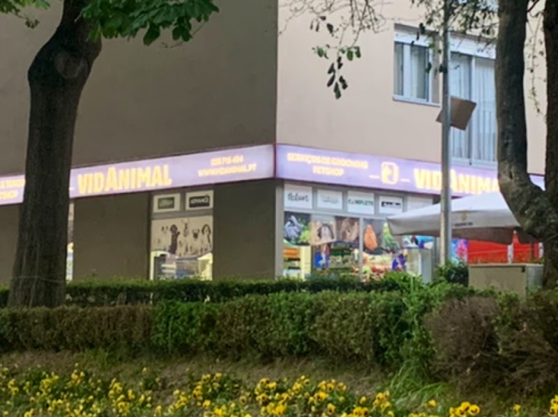VIDANIMAL RAÇÕES, LDA.