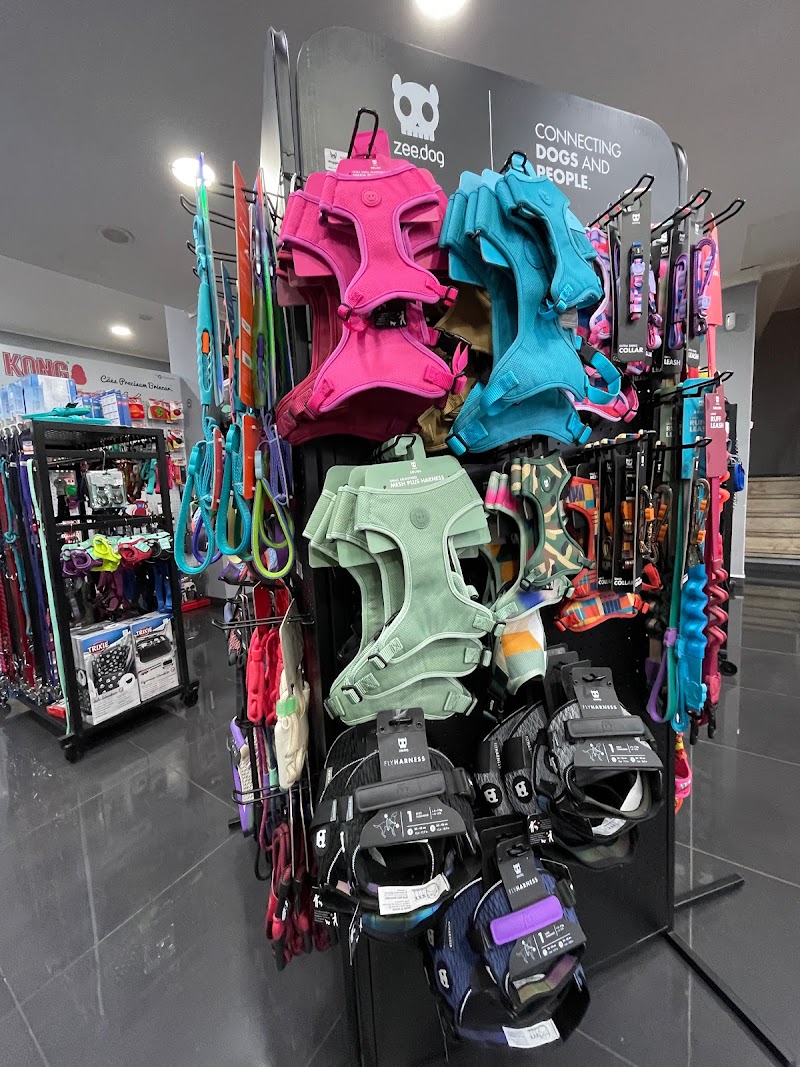Doggie | Pet Shop - foto 3