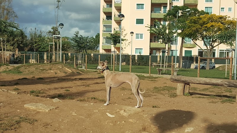 Parque Canino de São Pedro
