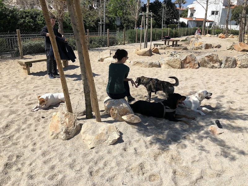 Parque Canino de São Pedro - foto 3