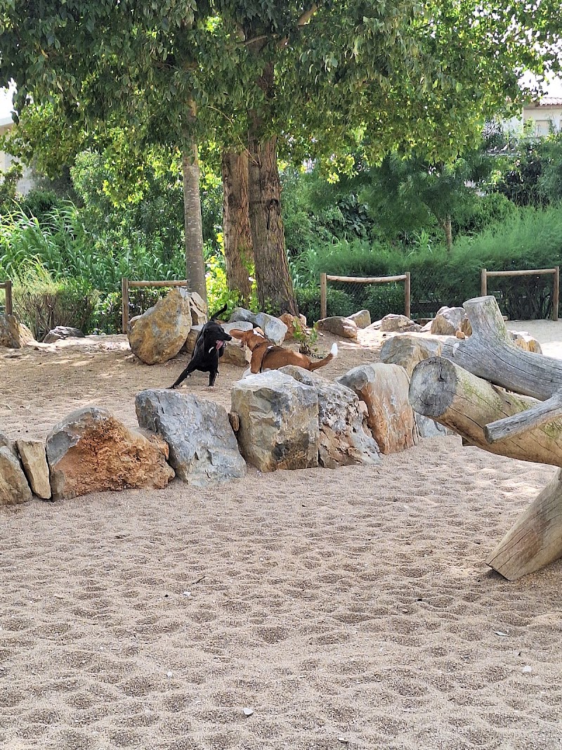 Parque Canino de São Pedro - foto 4