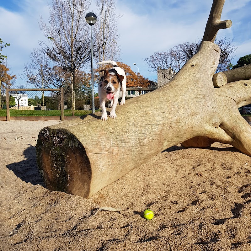 Parque Canino de São Pedro - foto 5