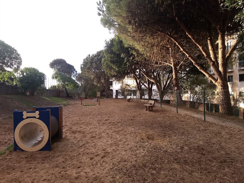 Parque Canino