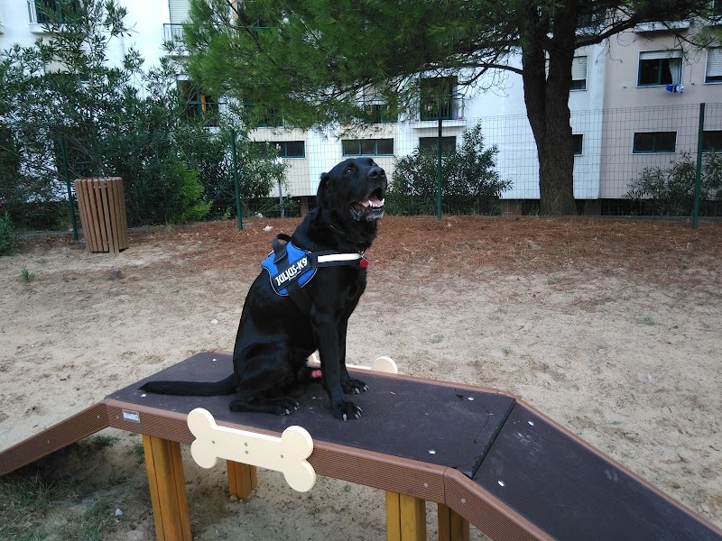 Parque Canino - foto 2