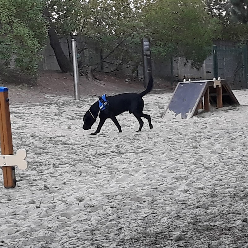 Parque Canino - foto 3