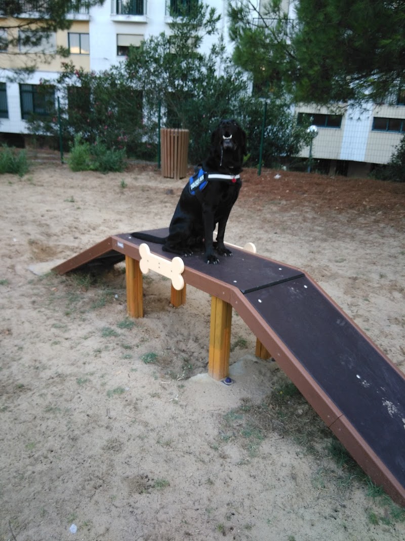 Parque Canino - foto 4