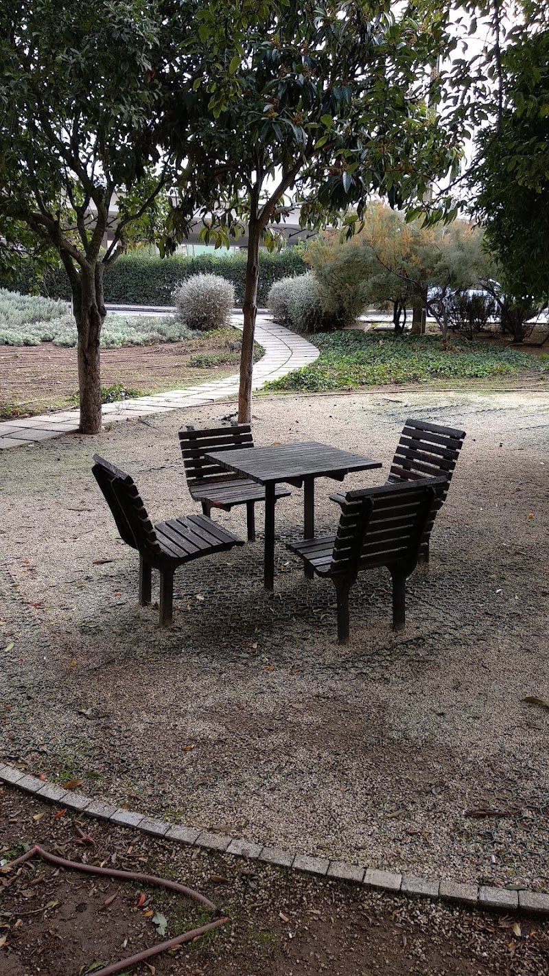 Parque Canino - foto 2