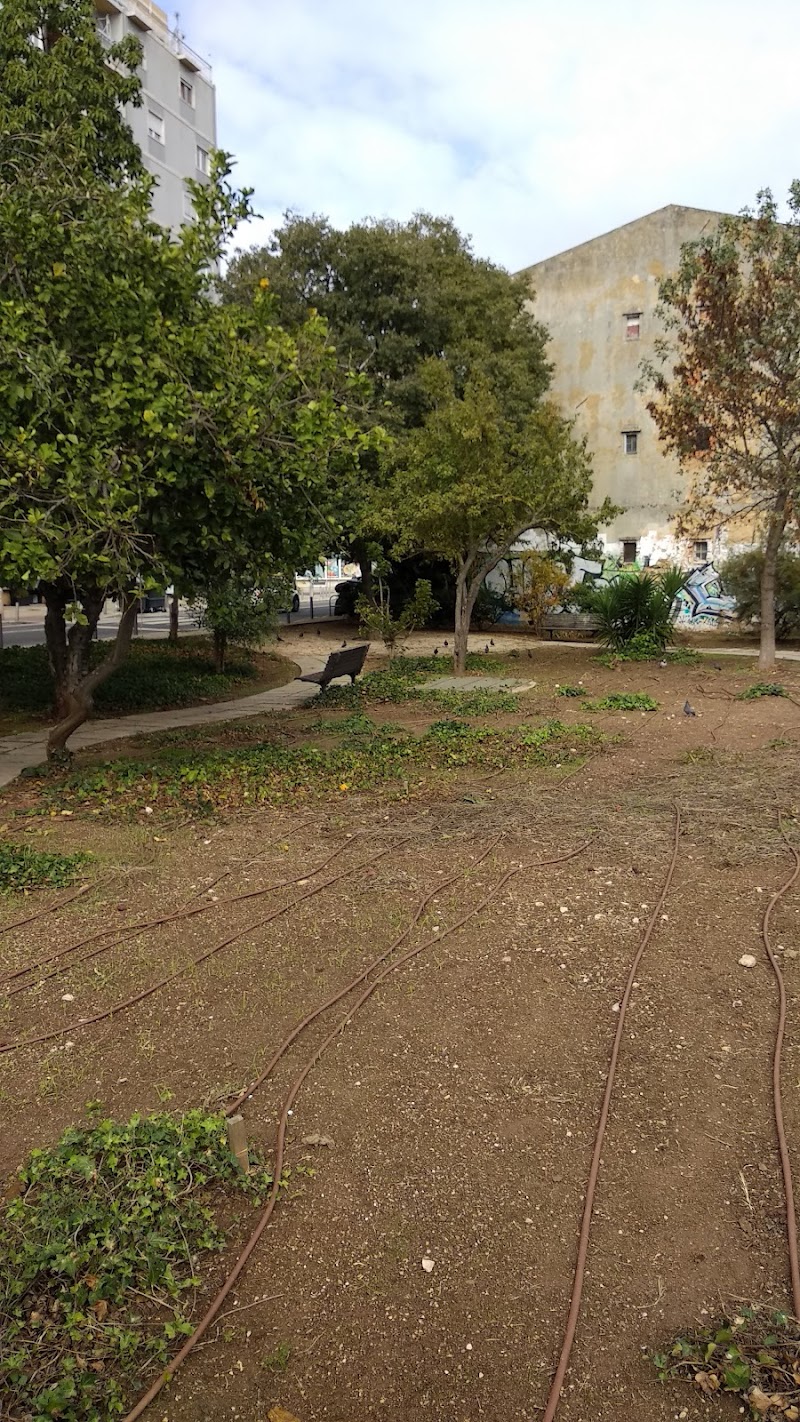 Parque Canino - foto 3