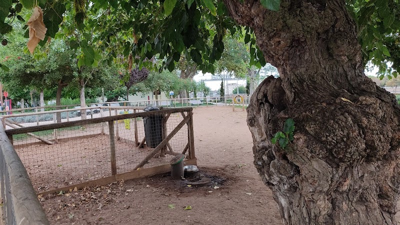 Parque Canino - foto 4