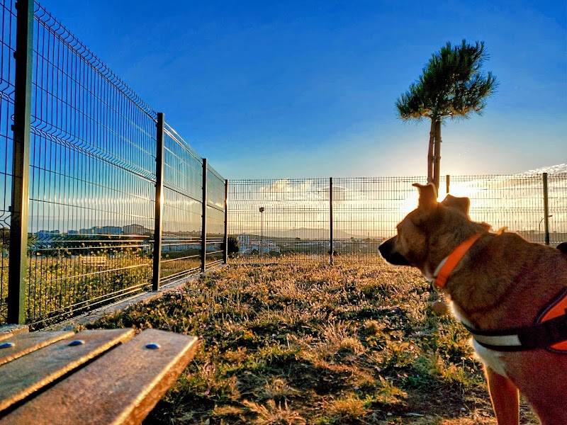 Parque Canino da Serra das Brancas - foto 3