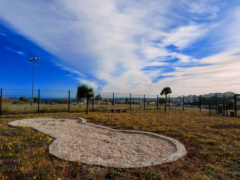 Parque Canino da Serra das Brancas - foto 5