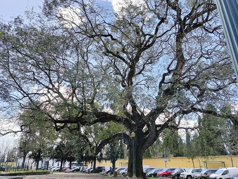 Parque Canino dos Prazeres