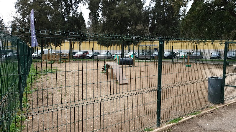Parque Canino dos Prazeres - foto 4