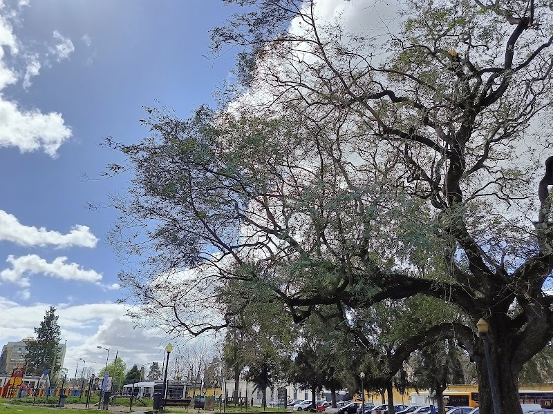 Parque Canino dos Prazeres - foto 5