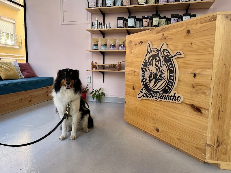 Sancho Pancho Pet Store - Natural Dog Treats & Raw Dog Food - foto 2