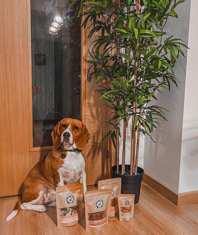 Sancho Pancho Pet Store - Natural Dog Treats & Raw Dog Food - foto 3