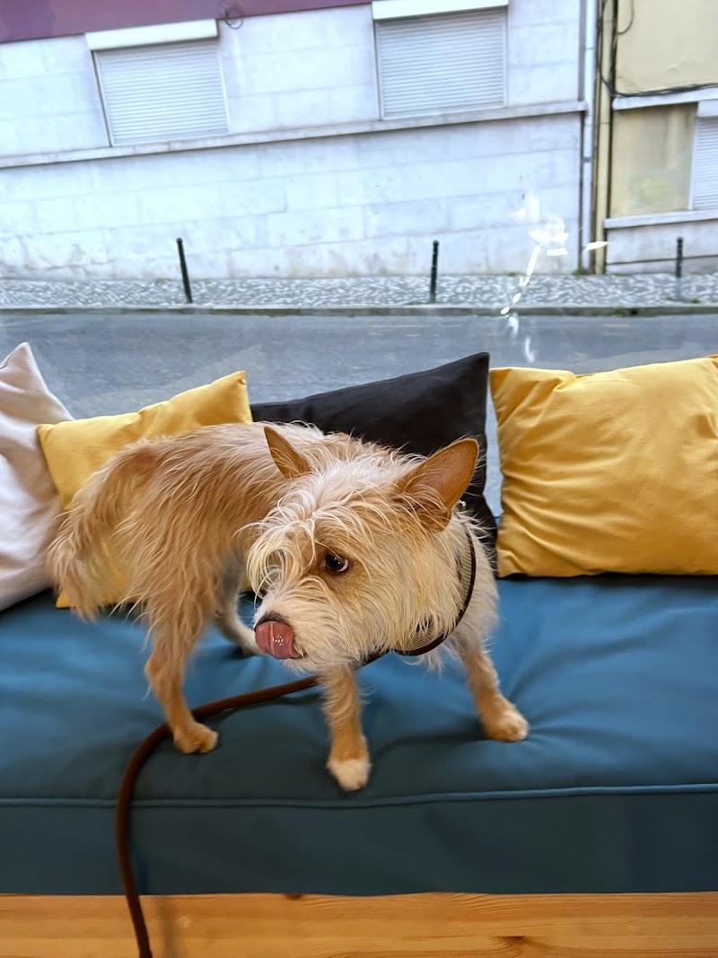 Sancho Pancho Pet Store - Natural Dog Treats & Raw Dog Food - foto 4