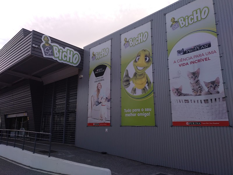 Sr. Bicho - Barreiro