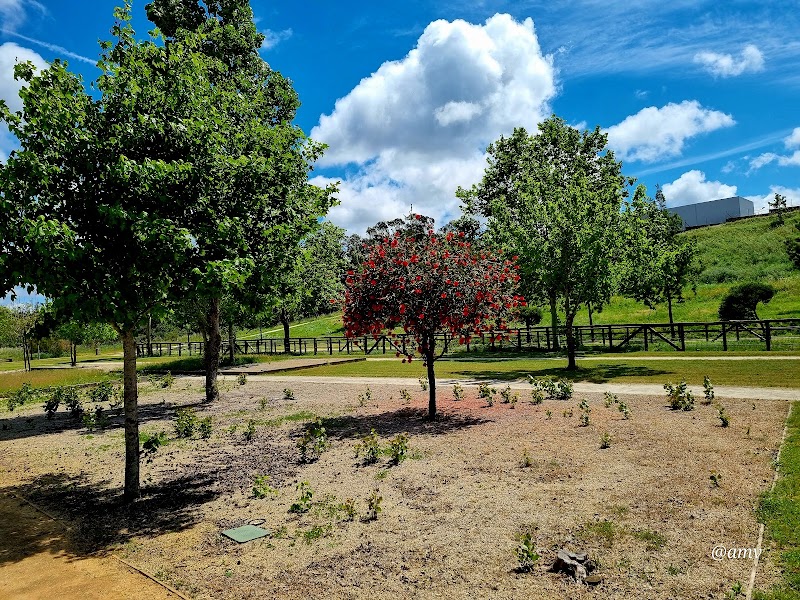Quinta do Ega - foto 4