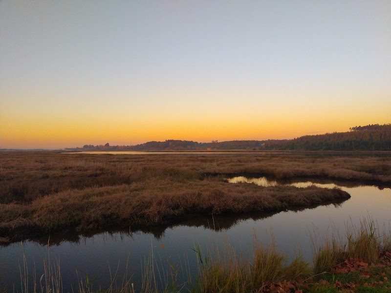 Quinta do Ega - foto 5