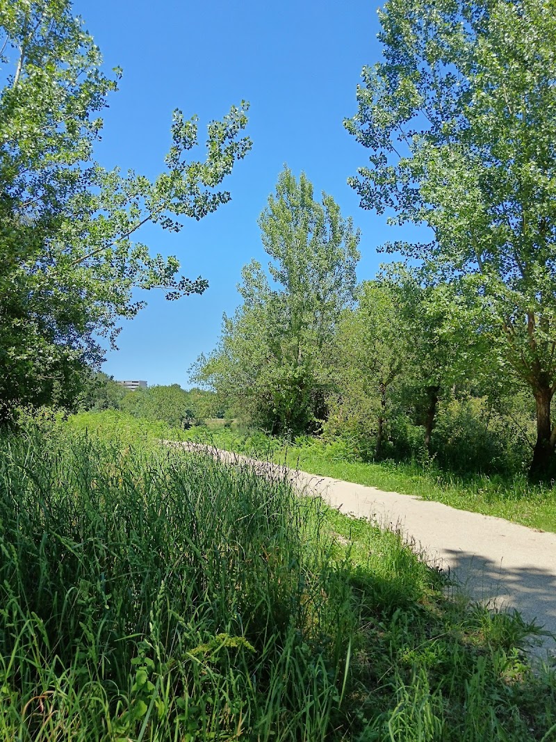 Parque da Ínsua - foto 5