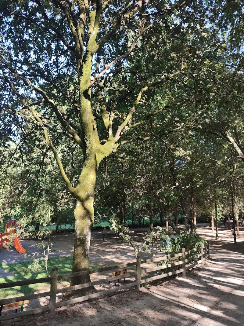 Parque de Lazer - Quinta do Olival - foto 5