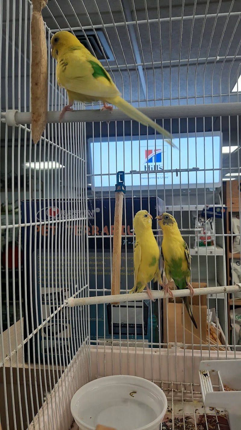 Kingdom PetShop - foto 3
