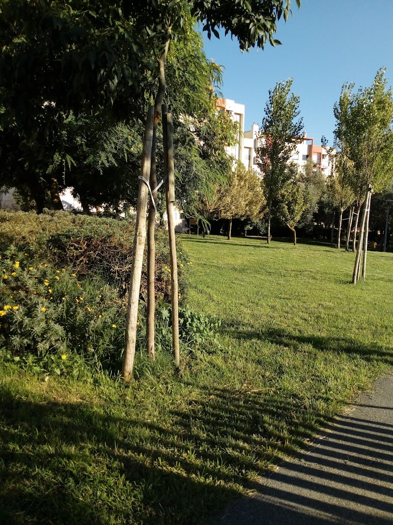 Parque Canino da Ribeirada - foto 2