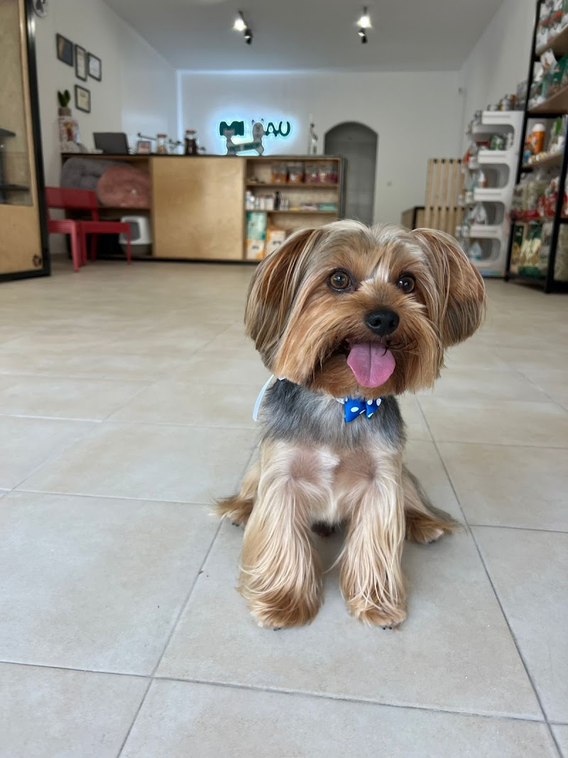 Miaau pet shop - foto 3