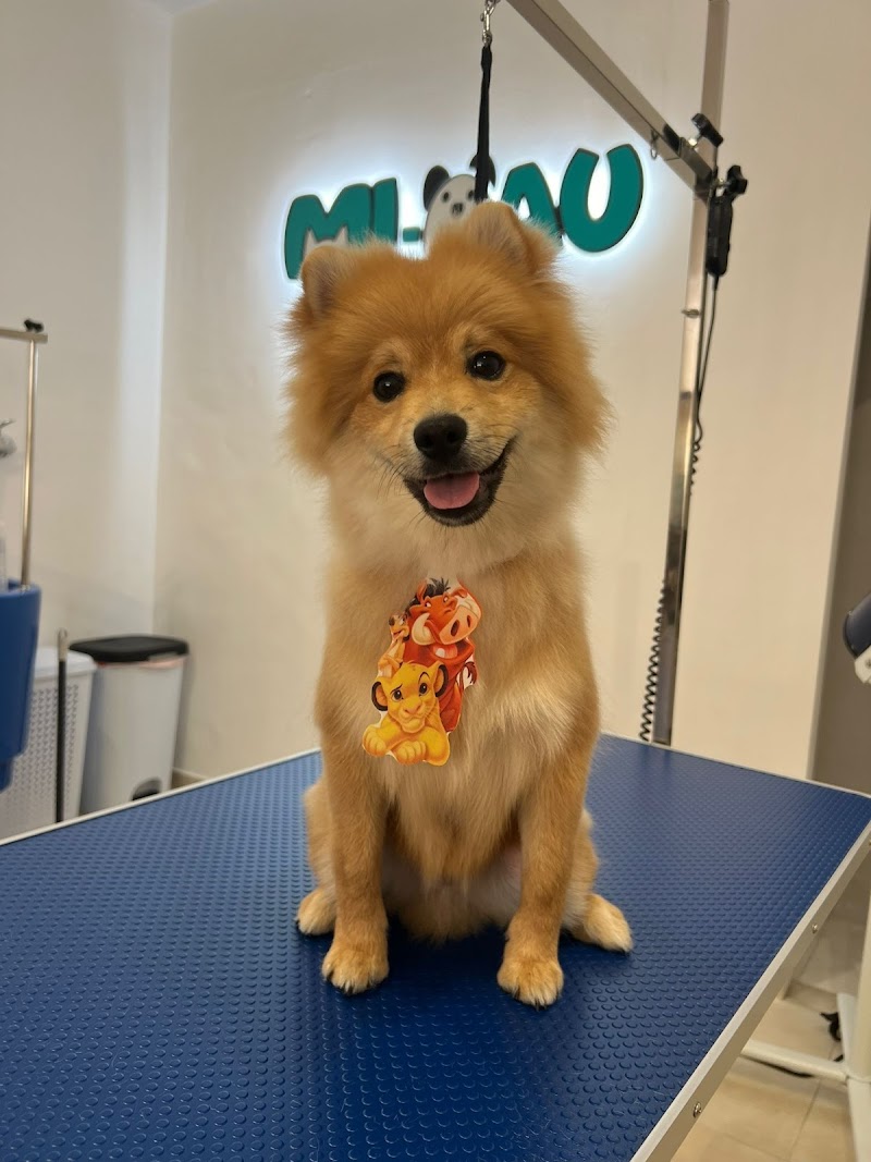 Miaau pet shop - foto 5
