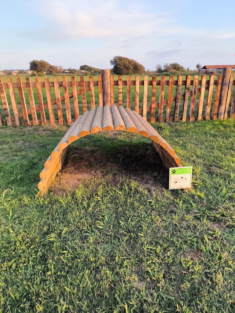 Parque canino da Gafanha da Encarnação - foto 4