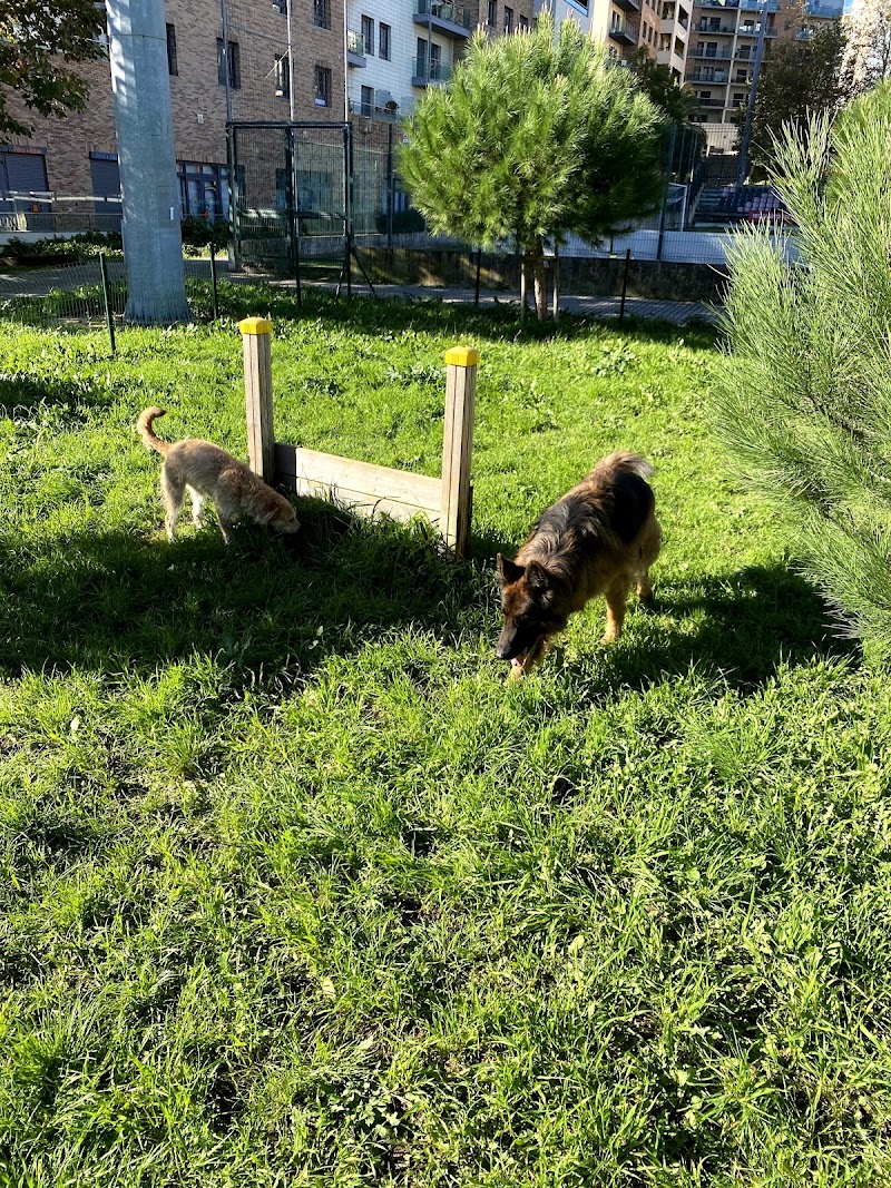 Parque Canino das Colinas do Cruzeiro - foto 2