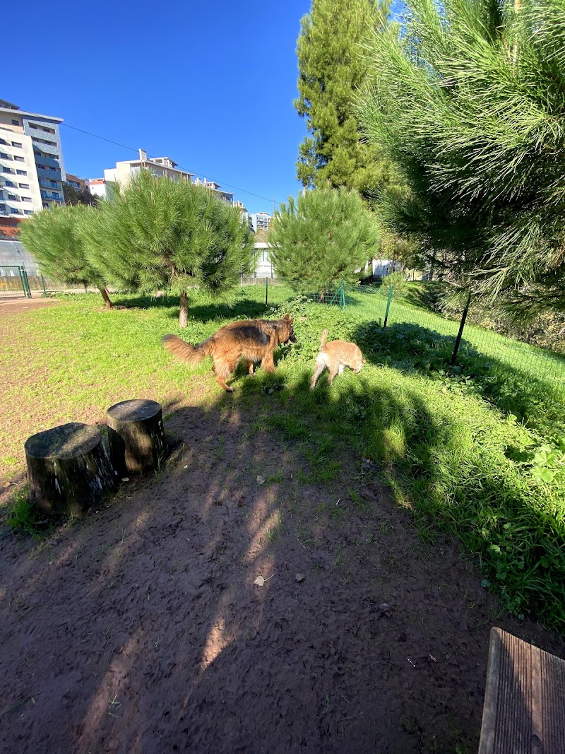 Parque Canino das Colinas do Cruzeiro - foto 4